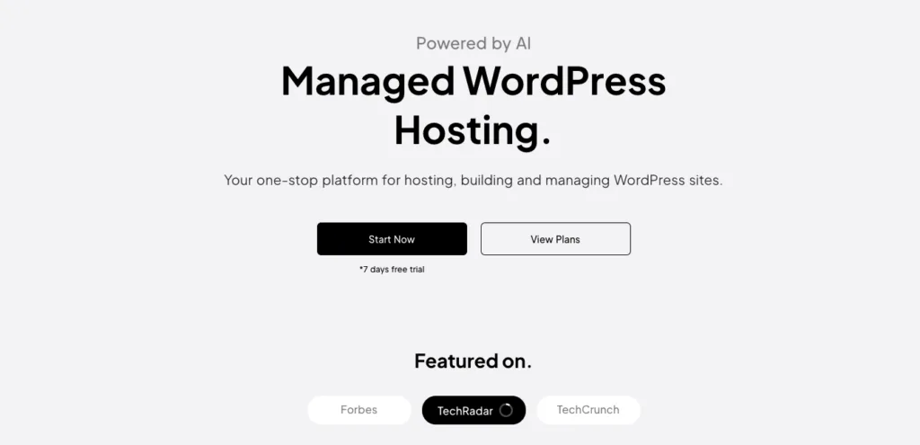 10Web AI WordPress hosting solution for bloggers, small businesses, and agencies