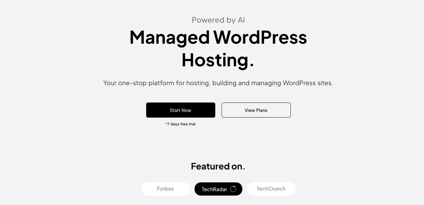 10Web AI WordPress hosting solution for bloggers, small businesses, and agencies